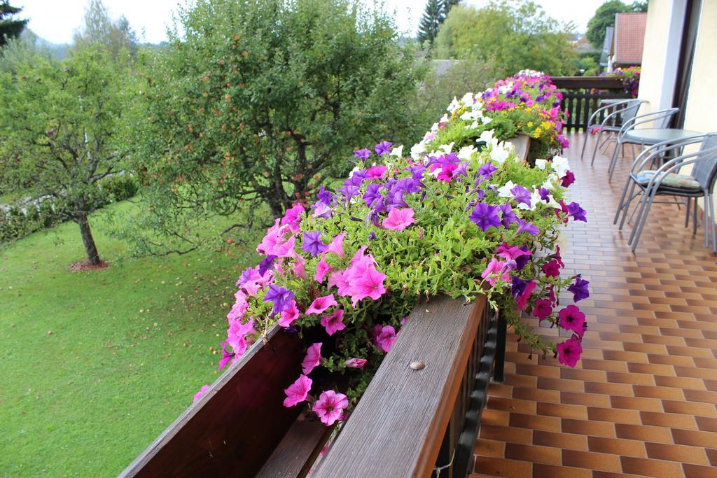 Pension Windinger Шифлінг-ам-Зе Номер фото
